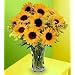 Glorious Sunflower Bouquet - Fresh Flowers