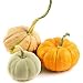 pumpkin spice flavored tea