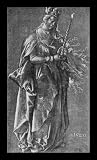 image link - - B0028E74RI