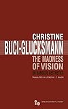 The madness of vision : on baroque aesthetics