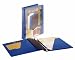 TOPS Cardinal SuperStrength ClearVue Locking Slant-D Ring Binder, 1 Inch, Blue, (10242)