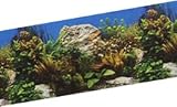 BACKGROUND FRESH WATER ROCKS