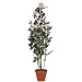 f-DECO ���[�Y�s���N 110cm