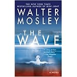 The Wave book cover