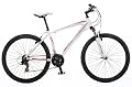 Raleigh All Terrain 10 Mens Mountain Bike 20 inch Frame