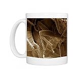 LRDS-15 Bedbugs mating Photo Mugs