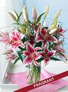 Floral Fragrant Stargazer Lilies