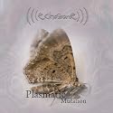Echozone - Plasmatic Mutation