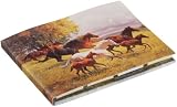 Eigenschaften Postler 37509 / Postler 37509 - Haftnotizen Pferd