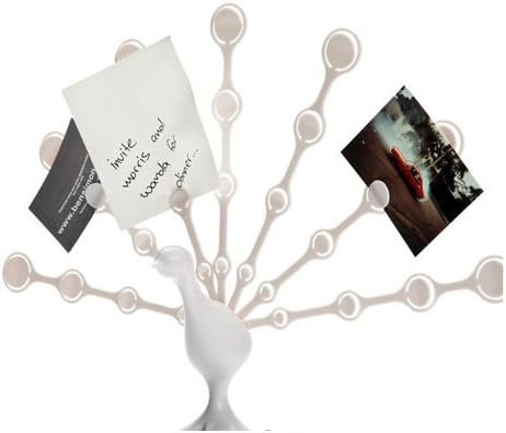 Cwdeal Freddy Feather ABS Memo Note Photos Holder for Desktop