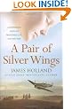 A Pair of Silver Wings