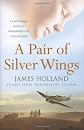 A Pair of Silver Wings