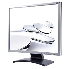 Benq FP93GS 19 Zoll TFT Monitor schwarz/silber DVI (Kontrast 800:1, 5ms Reaktionszeit)