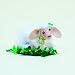 6" St. Patrick'S Girl Mouse By Annalee