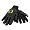 Oregon Ducks
