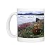 Photo Mugs of Paintbrush, Lupine, from Danita Delimont