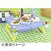 LveX^bO(CAPTAIN STAG) z nfB[e[u<Jbvt>u[ MP-951