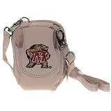 MLB Boston Red Sox Lunch Bag