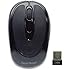2.4GHz Wireless Optical Nano Mouse (Black) (USB)