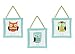 Turquoise and Lime Hooty Owl Wall Hanging Accessories by Sweet Jojo Designs