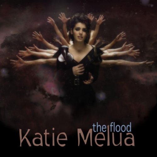 Produkt-Bild: Flood