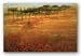 The Forest Afar by Ken Hildrew 36x24 Art Print Poster