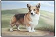 Corgi on the Path Dog Doormat Door Mat Rug Barrie Barnett