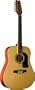 Washburn D10S12 Acoustic 12-string Guitar - Natural - with Case