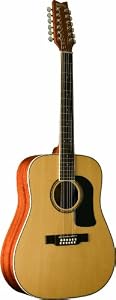 Washburn D10s12 N 12 String Acoustic Guitar - Natural