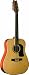 Washburn D10S12 Acoustic 12-string Guitar - Natural - with Case