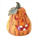 Outdoor Living : LIGHT UP JACK O LANTERN