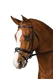Collegiate Padded Crank Bridle