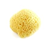 Bath Buddies Natural Bath Sponge