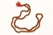 Japamala Full Rudraksha Rosary Mala Yoga Meditation Shiva Mala (108+1) Beads