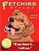Golden Retriever Fetching Dreams Tennis Balls Art Print