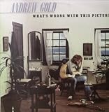WHAT`S WRONG WITH THIS PICTURE LP