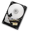Hitachi Deskstar 2 TB 3.5-Inch CoolSpin RPM SATA III 6Gbps 32 MB Cache Internal Hard Drive 0F12117 Image of Hitachi Deskstar 2 TB 3.5-Inch CoolSpin RPM SATA III 6Gbps 32 MB Cache Internal Hard Drive 0F12117