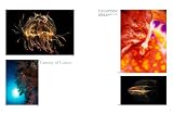 世界のネイチャーフォトグラフィー〈2011〉 (Sphere Books) 画像