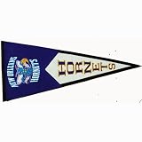 New Orleans Hornets NBA Classic" Pennant (17.5"x40.5")"