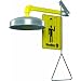 Bradley S19-120A Galvanized Steel 1 Spray Head Horizontal Supply Safety Shower with Stainless Steel Showerhead, Wall Mount, 20 GPM Water Flow, 9" Width x 25-1/2" Height x 15-3/4" Depth
