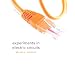 Experiments in Electric Circuits