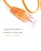 Lab Manual for Principles of Electric Circuits: Conventional Flow Version