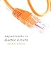 Lab Manual for Principles of Electric Circuits: Conventional Flow Version (Pearson Custom Electronics Technology)