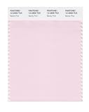 PANTONE SMART 12-2906X Color Swatch Card, Barely Pink