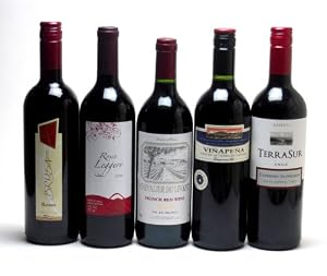 セレクション 赤ワイン 5本セット ( チリワイン 2本 フランスワイン 1本 イタリアワイン 1本 スペインワイン 1本)計750ml×5本