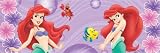 Disney's the Little Mermaid Pillowcase