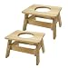 Lohasrus End Table Planter (13704), set of 2