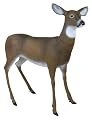Flambeau® Master Doe Decoy