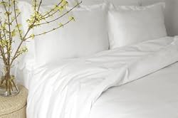 Organic Cotton Sheet Set- KING (Natural)