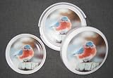 Mad Bluebird Coaster Set